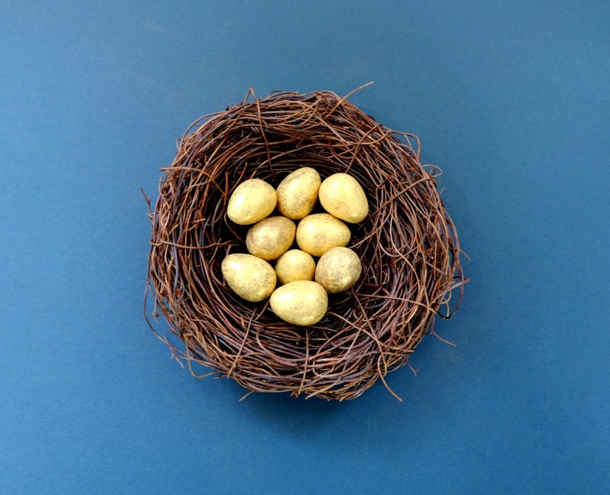 Caring for a Nest Egg, Whose Job is it?